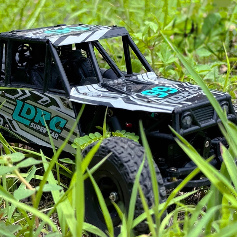 LDRC LD18499 1/18 4WD RC Car green