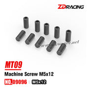 09096 M5x12