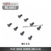 80081 Flat Head Screw (M2.5-6)
