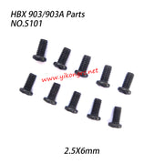 S101 2.5X6mm