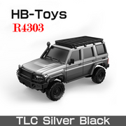 R4303: TLC Silver Black