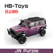 R4309: JW Purple